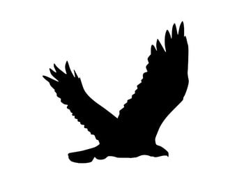Eagle SVG and PNG Digital Download - Eagle graphic - digital download eagle graphic