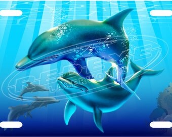 Dolphin Play License Plate Tag