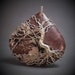 Beth Nelson