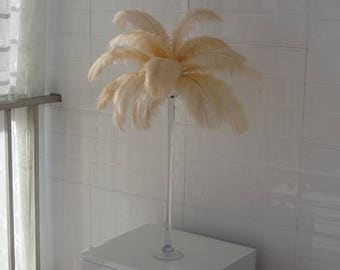 100pcs Champagne ostrich feather plumes,wedding centerpiece ,wedding table decoration,table eiffel tower centerpiece Frist Class Quality
