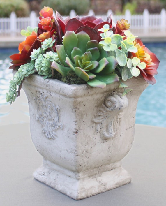 Faux Succulent Arrangement in Concrete Planter Artificial
