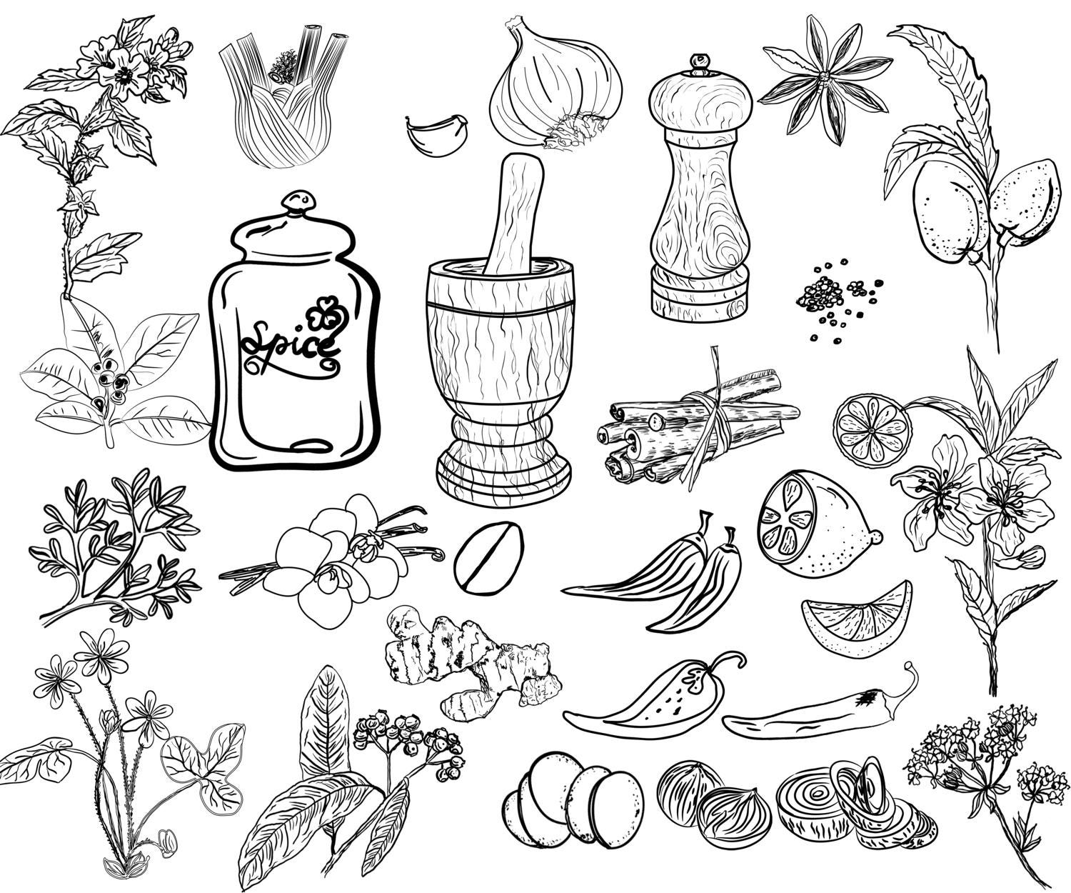 Kitchen doodle clipart: HERBS AND SPICES Herbs