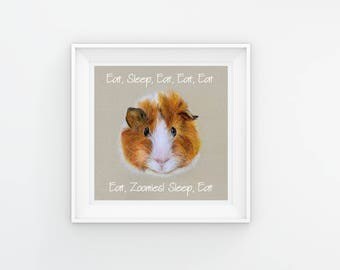 Guinea Pig Art, Guinea Pig Gift, Guinea Pig Print, Funny Guinea Pig, Guinea Pig Wall Art, Guinea Pig Room Decor, Guinea Pig Illustration