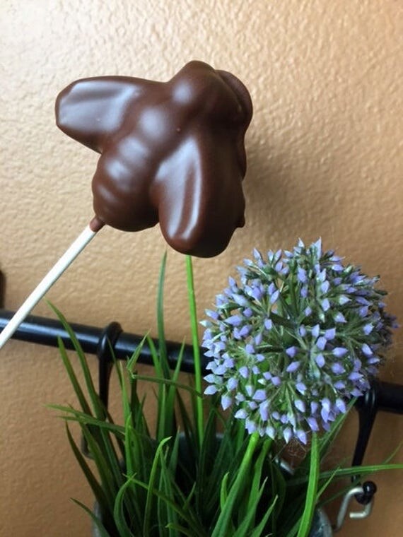 Peanut Butter Fudge Pops Spring Chocolate Peanut Butter Fudge pop