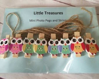 Photo pegs ~ Picture Pegs ~ owl pegs ~ artwork ~ display photos