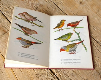 bird guide | etsy bird guide | etsy
