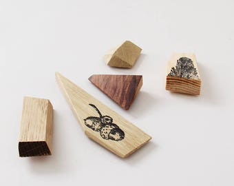 Fridge magnets, Wooden magnets, Magnets, Refrigerator magnets, Giveaway, Kitchen decor, Pack of 5 magnets, Wedding giveaway.