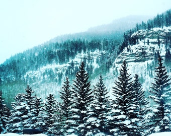 Wintry Trees of Vail Valley Greeting Card