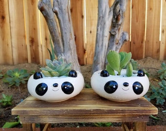 Adorable cute panda bear kids animal planter pot with succulent