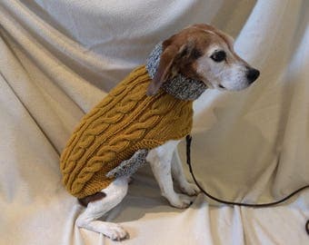 Image result for beagles sweater
