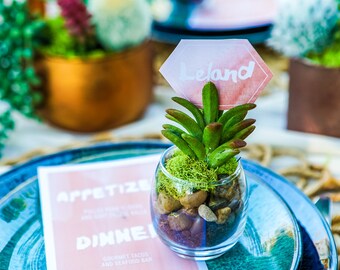 Succulent Wedding Favor, Wedding favor, Succulent wedding favors, decorative centerpieces, succulent plants, flower gift bouquets.