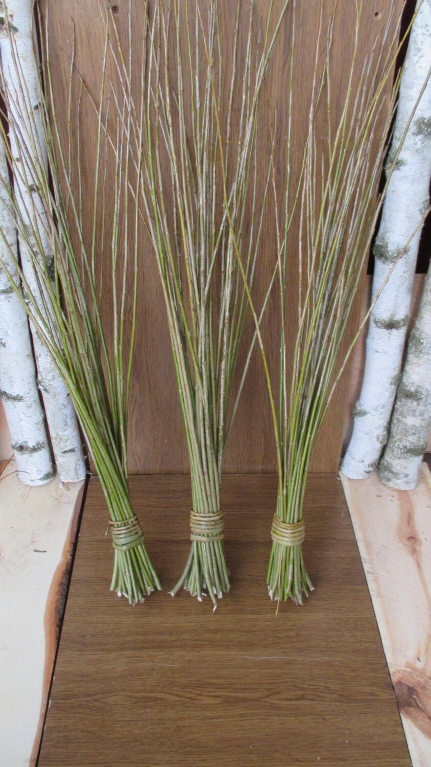 extralong willow twigs willow twigs willow bundle natural