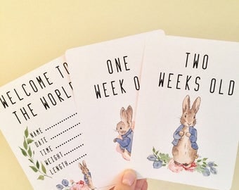Peter Rabbit Baby Milestone Cards