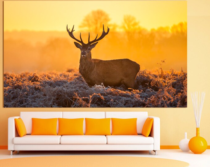 Large nature deer photography wall art print set on canvas, deer wildlife photography wall decor, deer photo decor animal wall art print set
