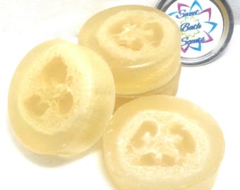 Hemp Soap - Soap - Dye Free Soap - Natural Soap - Exfoliant Soap - Organic Soap - Essential Oil Fragrance - Soap - Skin Care Soap - Spa Gift