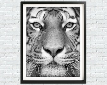 Black And White Photography Wall Art animal photography | etsy Black And White Photography Wall Art animal photography | etsy