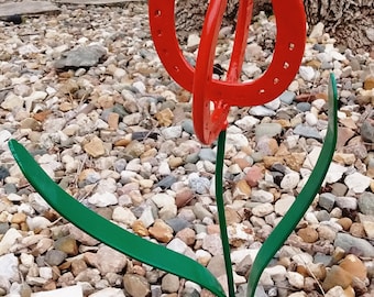 Horseshoe Tulip, Horse shoe Tulips
