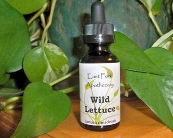 Wild Lettuce Tincture 1 oz. Wildcrafted