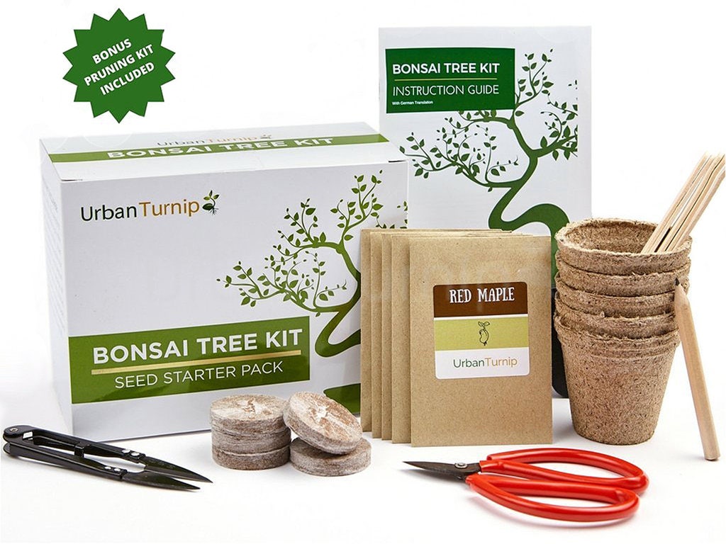 Bonsai Tree Kit Grow Your Own Bonsai Trees from Seeds