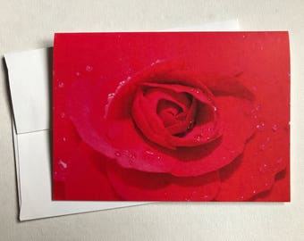 Red Rose 3"x5" blank card with envelope.