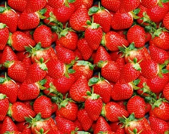 Knit Strawberries euro import 1/2 yard