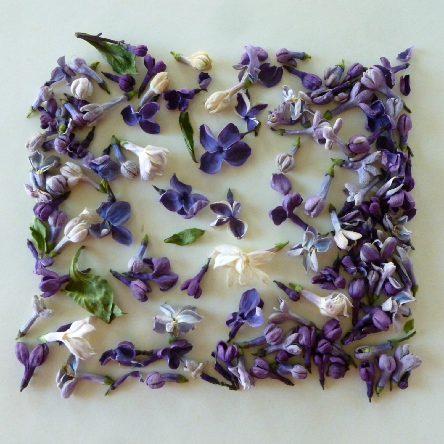 Dry Flower Confetti Wedding Confetti Wildflowers by LarkspurHill