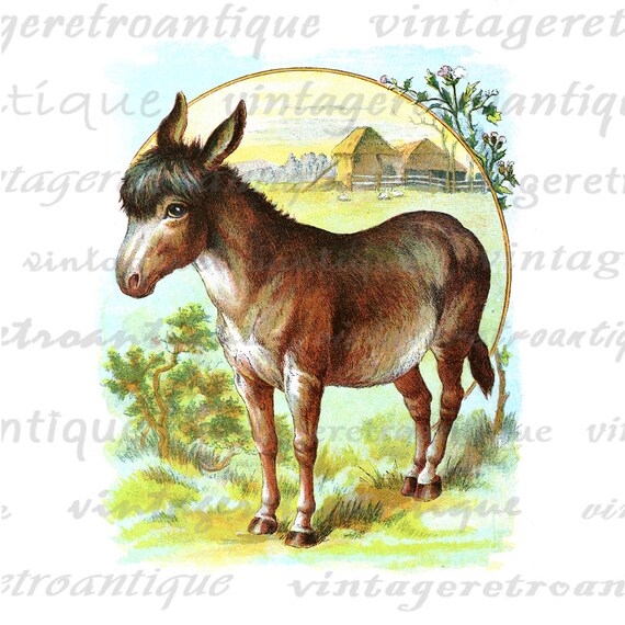 Items similar to Printable Digital Donkey Download Color Illustration ...