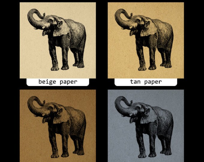 Printable Elephant Graphic Digital Antique Elephant Image Elephant Digital Image Art Download Vintage Clip Art Jpg Png Eps HQ 300dpi No.617