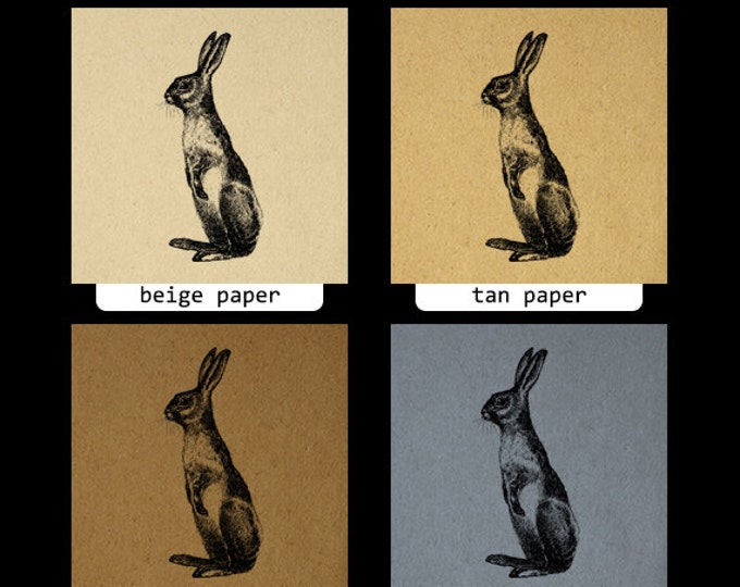 Printable Rabbit Digital Image Digital Rabbit Art Bunny Vintage Antique Clipart Download Illustration Graphic Jpg Png Eps HQ 300dpi No.1378