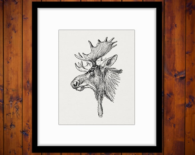 Moose Graphic Printable Download Moose Head Antlers Image Illustration Digital Vintage Clip Art Jpg Png Eps HQ 300dpi No.1207