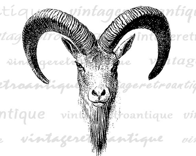 Antique Goat Digital Printable Image Ram Horns Graphic Download Jpg Png Eps HQ 300dpi No.481