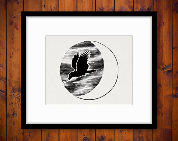 Printable Digital Moon Bird Image Night Graphic Download Vintage Clip Art Jpg Png Eps HQ 300dpi No.856