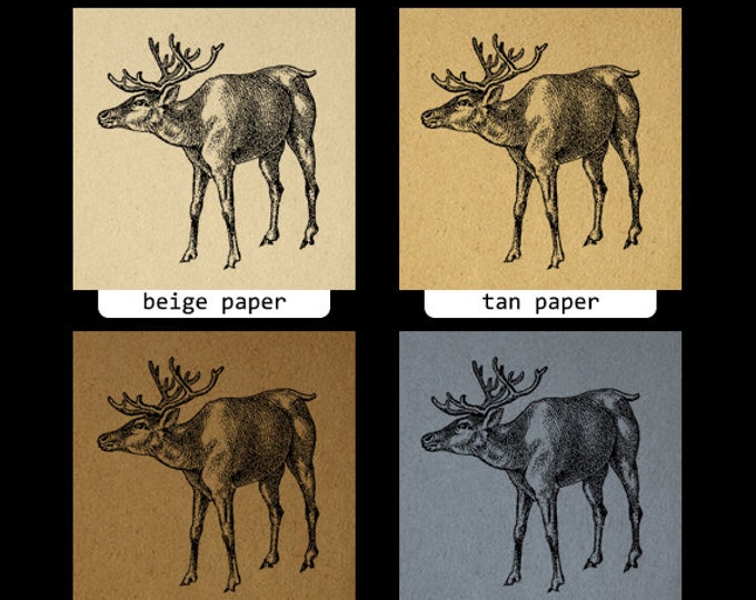 Deer Image Graphic Download Antique Printable Digital Vintage Clip Art Jpg Png Eps HQ 300dpi No.272