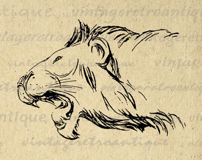 Printable Digital Lion Head Download Image Graphic Illustration Vintage Clip Art Jpg Png Eps HQ 300dpi No.2864