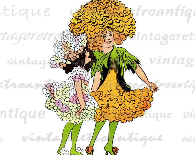 Printable Image Candytuft and Marigold Download Girls Digital Flower Children Graphic Artwork Vintage Clip Art HQ 300dpi No.1150