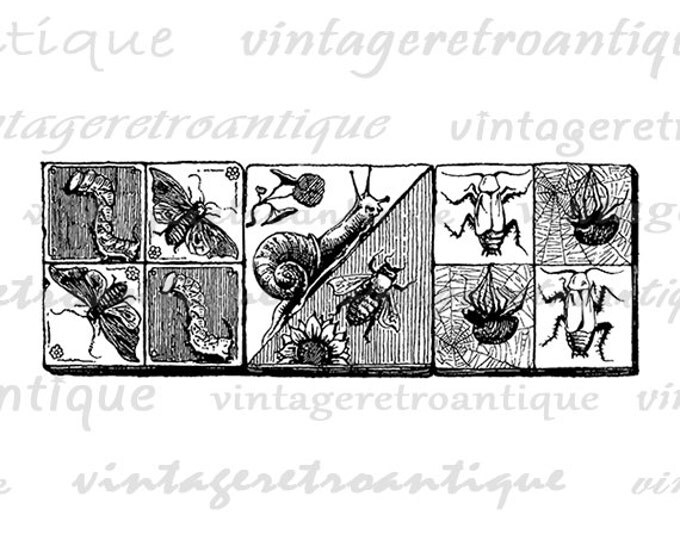 Antique Insects and Bugs Panels Illustration Digital Image Download Graphic Printable T-Shirts Jpg Png Eps HQ 300dpi No.3899