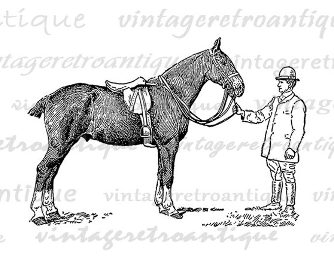 Horse with Handler Graphic Image Digital Download Printable Vintage Clip Art Jpg Png Eps HQ 300dpi No.3128