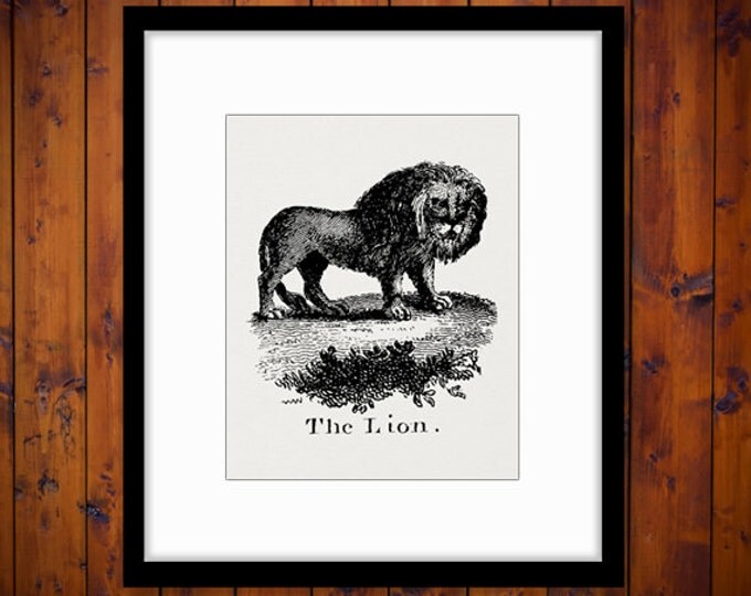 The Lion Digital Printable Image Antique Illustration Download Graphic Vintage Clip Art Jpg Png Eps HQ 300dpi No.828