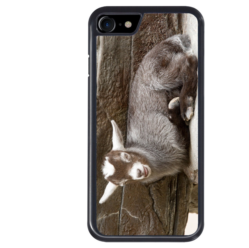 Baby Pygmy Goat Phone Case Farm Animal iPhone 5 5s 6 6s 6