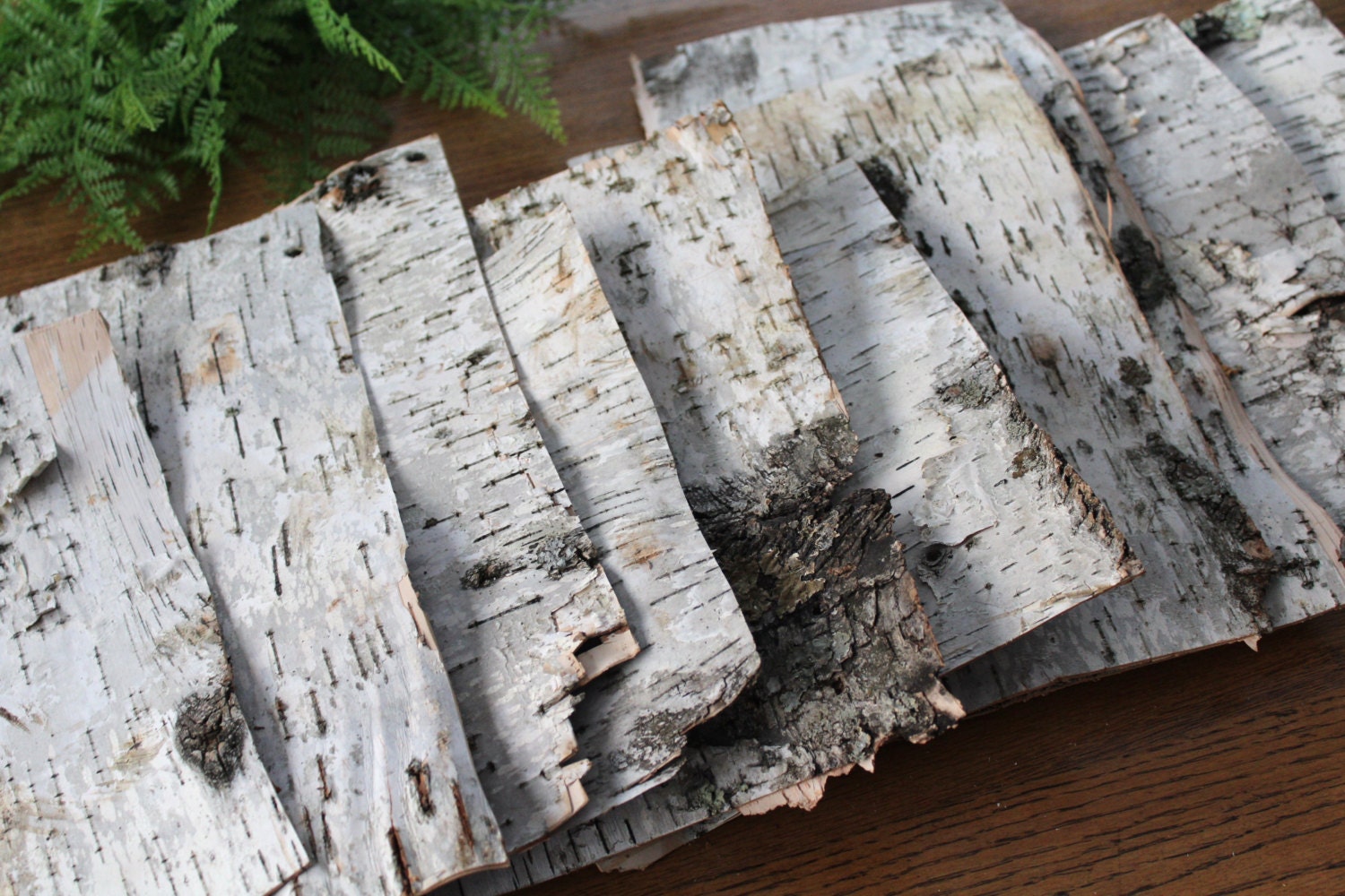 10 Large Birch Bark Sheets All Natural Birch Bark Paper Birch Bark Crafts Paper Birch