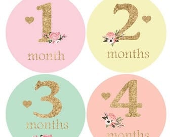 Baby girl monthly sticker, Floral Baby sticker, Glitter Baby Month Sticker, Baby Shower Gift, Milestone Stickers, Heart Stickers,growth A137