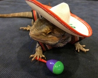 Mexican Fiesta Costume for Bearded Dragons! Two Sizes, one style.