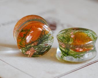 Baltic Amber Plugs, Green Moss Ear Gauges, Raw Stone Plugs, Nature Resin Gauges, Terrarium Ear Plugs, Girly Plugs, Clear Tunnels Ear Weights