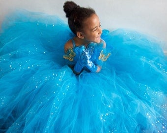 Cinderella Toddler Inspired Sequin Sparkle Tulle Dress, Sample Age 3 (DISPATCH TODAY)