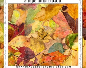 Fall clipart, handpainted clipart, woodland clipart, watercolor clipart, fall wedding clipart, boho wedding clipart, fall leaf png clipart