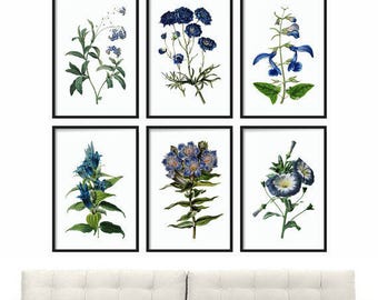 Flower Print Set of 6 - Botanical Art Prints Wild Flower Prints - Wall Art Botanical Poster Antique Wall Art Home Decor Wall Art SET of 6