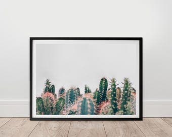 Livingroom Decor - Succulent Print, Digital Download, Cactus Wall Art, Botanical Print, Greenery Photo, Cactus Garden Wall Art, Modern Photo