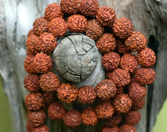 Rudraksha Beads, 11mm, 108 Set. DIY Mala, Prayer Beads. From India