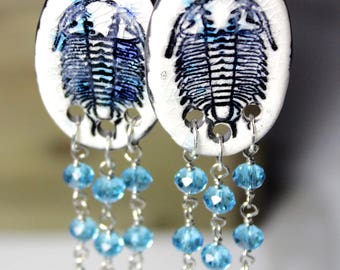 Trilobite Dangle Ceramic Earrings with Crystals