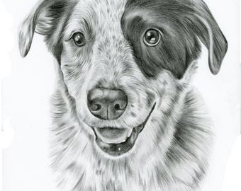 Graphite Pet Portrait Drawing size 5 x 7 Custom black and